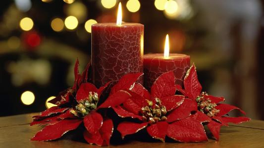 美丽的蜡烛，鲜花，火，红蜡烛，新的一年，圣诞节