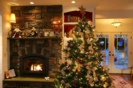 壁炉，圣诞树，安逸，房间