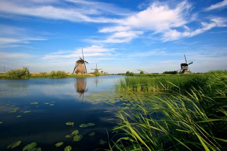 磨房，河，运河，荷兰