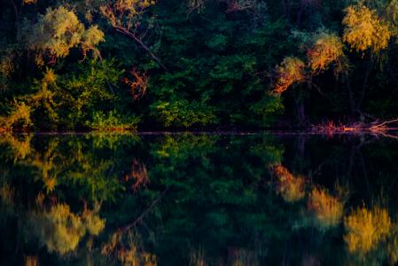 秋天，河，岸，树，反射，涂料