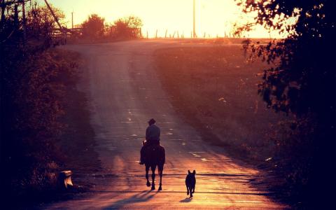 狗，日落，马，路