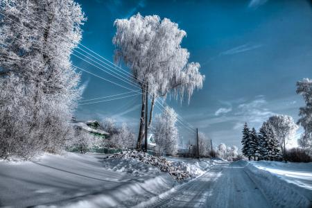 冬天，路，雪，树，性质