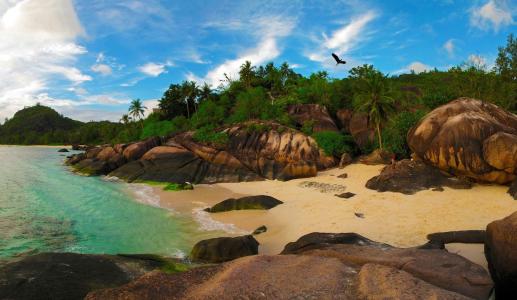 自然，岛，海洋，海滩，岩石，塞舌尔，塞舌尔，丛林，热带，美丽，鸟，石头