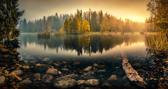 自然，池塘，湖，秋，美丽，雾，森林