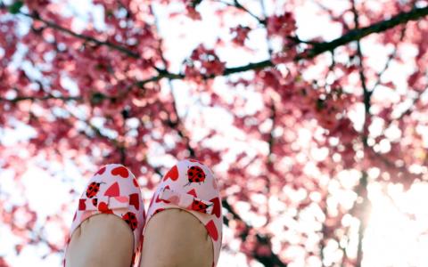 春天，花园，心情，靴子