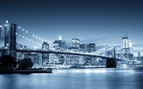 城市，夜晚，河，桥，摩天大楼