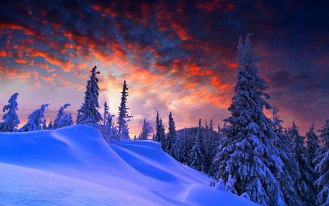 自然，冬天，雪，天空，美丽