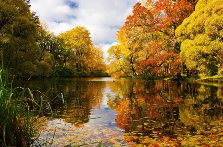 公园，池塘，鸭子，秋天