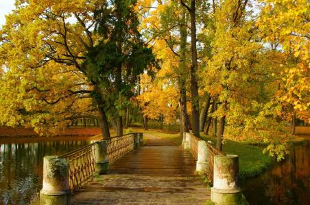 秋天，桥，树自然，景观，池塘，亚历山大公园，S.A.