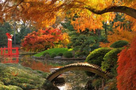 秋天，公园，河，桥，树，岛，美丽