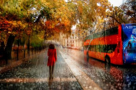 秋天，城市，街道，公共汽车，雨，路人，雨伞