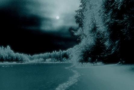 晚上，树，河，月亮，雪，路径，童话故事