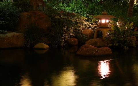性质，池塘，灯，灯，水