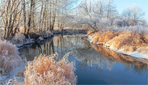 早上，冬天，树木，霜，反射，克列娃河