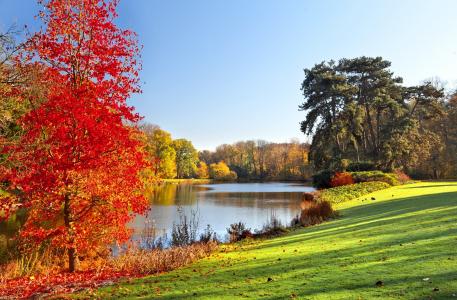 秋天，性质，河，森林，美丽，钓鱼