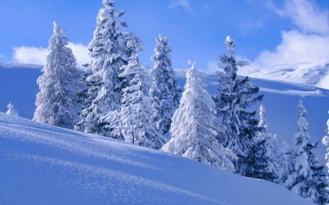 冬天，山，雪，冬天，白色背景