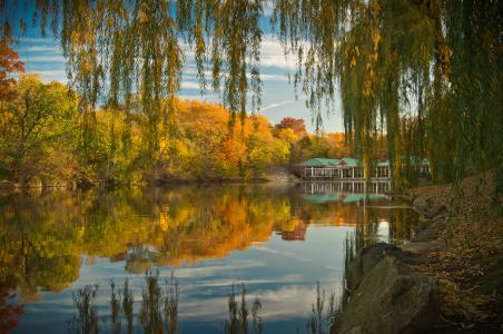 纽约中央公园，秋天，池塘，树木