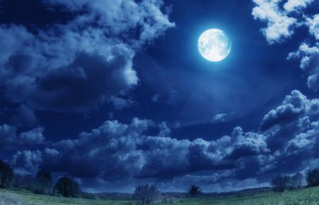 性质，晚上，天空，云，月亮，树木