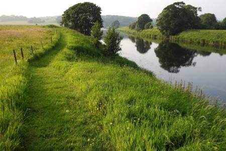 自然，夏天，英国，河，草，路径