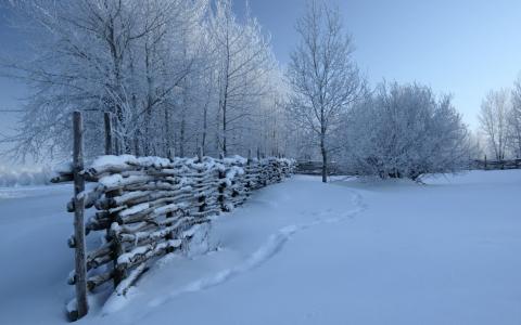 围栏，性质，冬天，雪