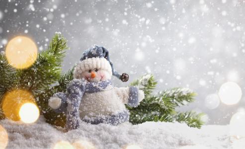 假日，新年，圣诞节，雪，分支机构，云杉，毛皮树，玩具，雪人