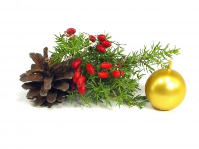 美丽的圣诞节组成，松果，红色浆果和金球，白色背景