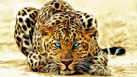 豹，颜色，谎言，眼睛