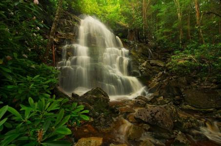 照片，大自然，瀑布，瀑布，石头，森林，美丽