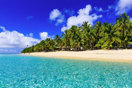 热带，度假村，棕榈树，海洋，沙滩，棕榈树