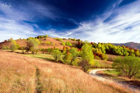 田地，丘陵，树木，天空，油漆，秋天，马吕斯Turc