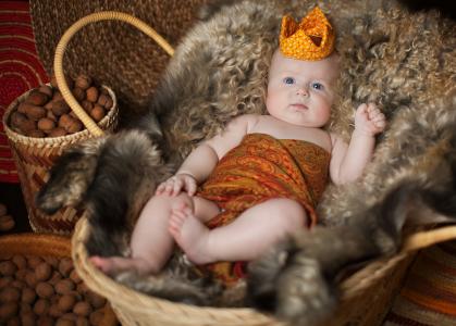 Anna Levankova，坚果，孩子，婴儿，小孩，篮子，皮草，皮肤，皇冠