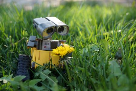 墙-E，机器人，玩具，草，蒲公英，花，草坪，自然，玩具世界，玩具，春天，美丽