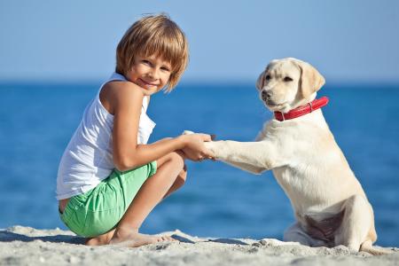 孩子，男孩，狗，狗，猎犬，朋友，岸，海，沙子