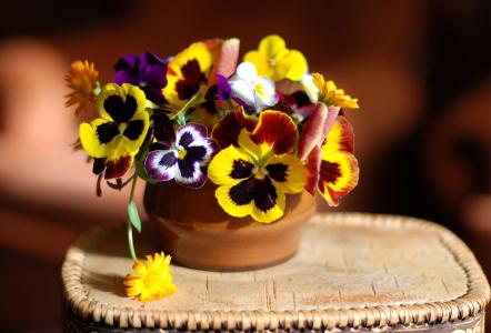 餐巾，花瓶，鲜花，三色紫罗兰