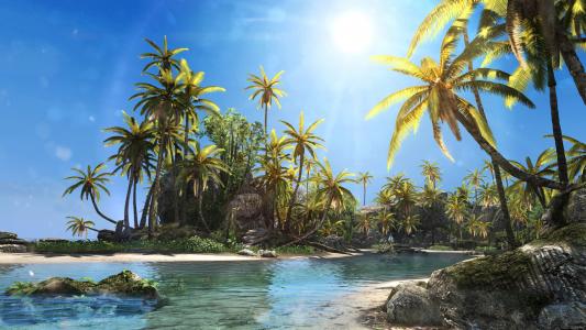 热带地区，棕榈树，阳光灿烂的日子，海滩
