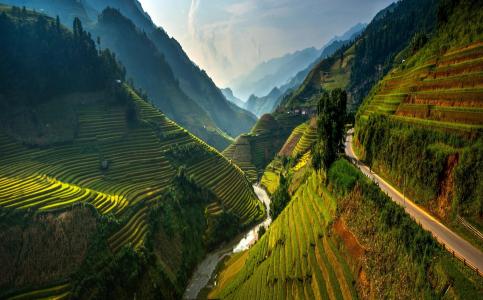 自然，山，越南