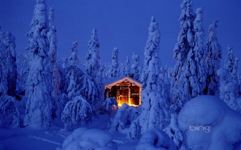 性质，冬天，森林，房子，光，冷杉，冰，照片，雪，霜，晚上