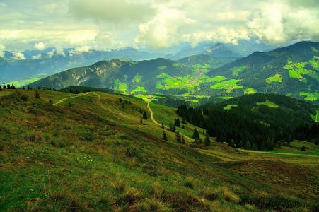 奥地利，字段，小山，路，树木