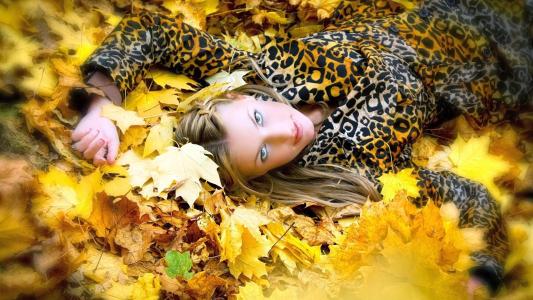 女孩，光眼，落叶，秋天的图片