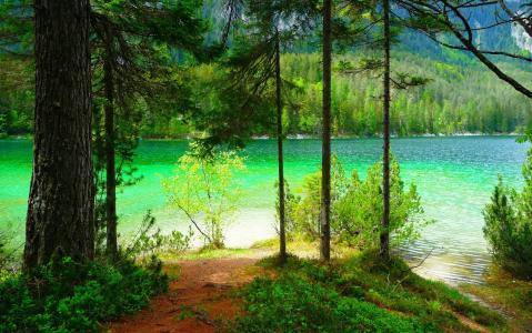 自然，湖，森林，娱乐，美丽