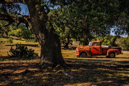 景观与一辆旧车，得克萨斯州，树，仙人掌，皮卡