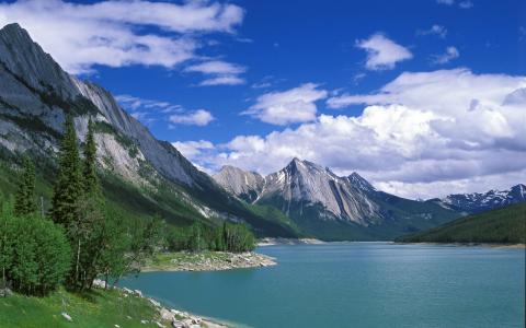 景观，湖，水，山，树，性质，药湖，加拿大贾斯珀国家公园