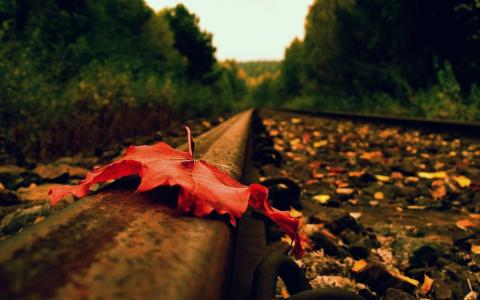 红叶，铁路，铁路，秋天
