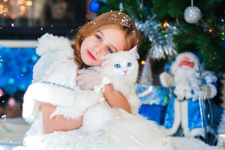 新年，女孩，猫，微笑，欢乐，圣诞树，圣诞老人