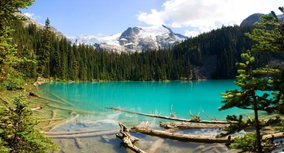 湖，山，森林，加拿大