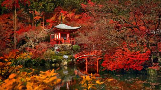 日本，花园，公园，池塘，秋天，树木，宝塔，凉亭，桥，灌木丛