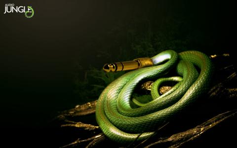 软管，蛇，绿色