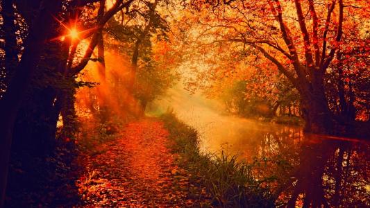 秋天的森林，河流，太阳的光线