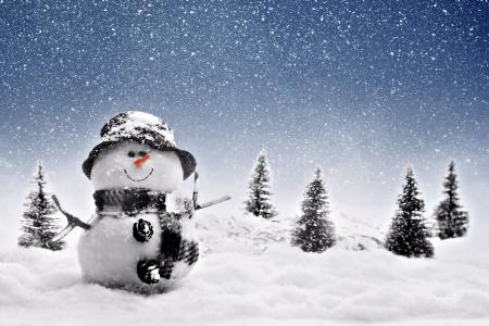 雪，冬天，雪人，胡萝卜，帽子