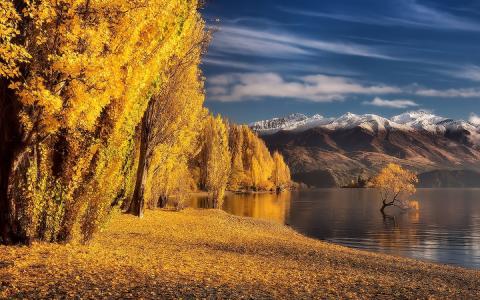 秋天，新西兰，山，瓦纳卡湖